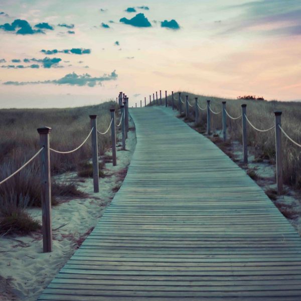 senor-sosa-88z4FEQpEhI-unsplash senor-sosa-88z4FEQpEhI-unsplash